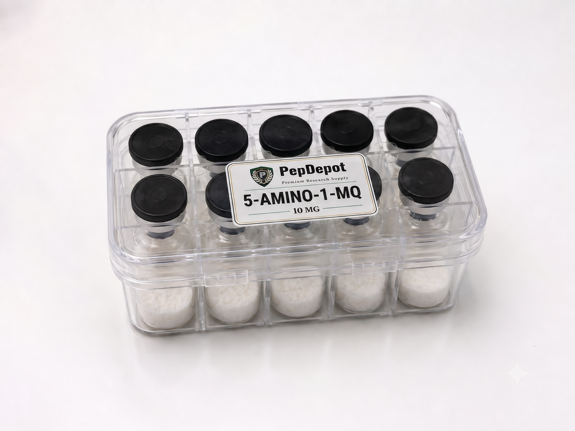 5-Amino-1MQ 10MG Kit